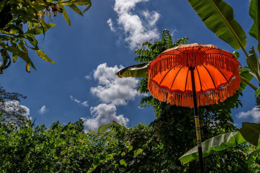 Taman Nauli Boutique Rooms Canggu  Luaran gambar