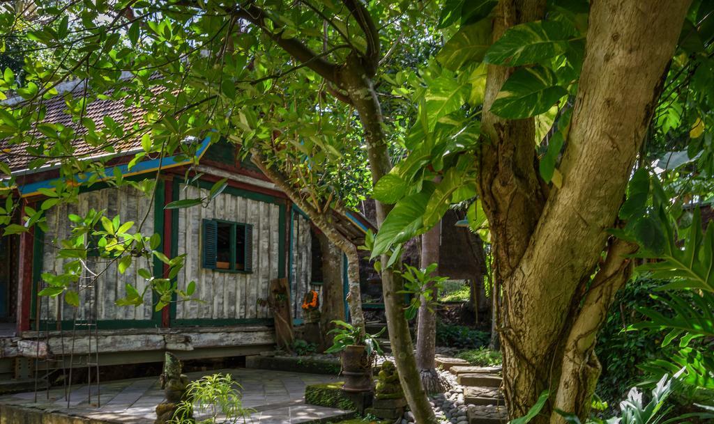 Taman Nauli Boutique Rooms Canggu  Luaran gambar